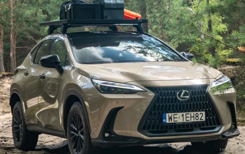 Lexus NX (AWD)